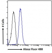 FACS testing of fixed and permeabilized human ThP-1 cells with LFA-1 antibody (blue) at 10ug/ml and naive goat Ig (black).