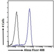 FACS testing of fixed and permeabilized human HEK293 cells with SOX2 antibody (blue) at 1ug/million cells/0.1ml and naive goat Ig (black).