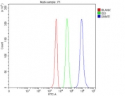 Flow cytometry testing of fixed and permeabilized human 293T cells with Dnmt1 antibody at 1ug/million cells (blocked with goat sera); Red=cells alone, Green=isotype control, Blue= Dnmt1 antibody.