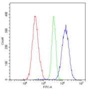 Flow cytometry testing of human A549 cells with Eph Receptor A2 antibody at 1ug/10^6 cells (blocked with goat sera); Red=cells alone, Green=isotype control, Blue= Eph Receptor A2 antibody.