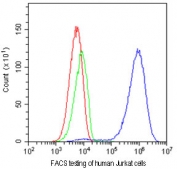 FACS testing of human Jurkat cells with CD81 antibody at 1ug/10^6 cells. Blue=CD81 antibody, Green=isotype control, Red=cells alone.