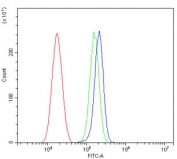 Flow cytometry testing of human U-87 MG cells with GRK2 antibody at 1ug/million cells (blocked with goat sera); Red=cells alone, Green=isotype control, Blue= GRK2 antibody.