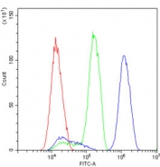 Flow cytometry testing of human SiHa cells with DYNLT1 antibody at 1ug/million cells (blocked with goat sera); Red=cells alone, Green=isotype control, Blue= DYNLT1 antibody.