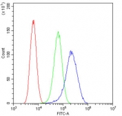 Flow cytometry testing of fixed and permeabilized human U-2 OS cells with cIAP1 antibody at 1ug/million cells (blocked with goat sera); Red=cells alone, Green=isotype control, Blue= cIAP1 antibody.