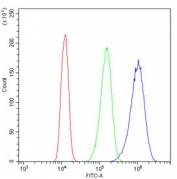 Flow cytometry testing of human A431 cells with SF1 antibody at 1ug/million cells (blocked with goat sera); Red=cells alone, Green=isotype control, Blue= SF1 antibody.