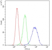 Flow cytometry testing of human A431 cells with Caspase 4 antibody at 1ug/10^6 cells (blocked with goat sera); Red=cells alone, Green=isotype control, Blue= Caspase 4 antibody.