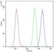Flow cytometry testing of human U-2 OS cells with DNA Polymerase lambda antibody at 1ug/10^6 cells (blocked with goat sera); Red=cells alone, Green=isotype control, Blue= DNA Polymerase lambda antibody.