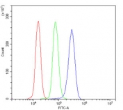 Flow cytometry testing of human U937 cells with COX4I1 antibody at 1ug/million cells (blocked with goat sera); Red=cells alone, Green=isotype control, Blue= COX4I1 antibody.