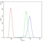Flow cytometry testing of human HeLa cells with GSTM1 antibody at 1ug/10^6 cells (blocked with goat sera); Red=cells alone, Green=isotype control, Blue= GSTM1 antibody.