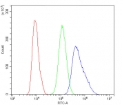 Flow cytometry testing of human U-2 OS cells with HSP70 antibody at 1ug/10^6 cells (blocked with goat sera); Red=cells alone, Green=isotype control, Blue= HSP70 antibody.