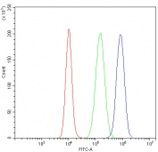 Flow cytometry testing of fixed and permeabilized human A431 cells with SP1 antibody at 1ug/million cells (blocked with goat sera); Red=cells alone, Green=isotype control, Blue= SP1 antibody.
