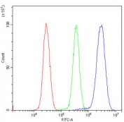 Flow cytometry testing of human HeLa cells with AES antibody at 1ug/million cells (blocked with goat sera); Red=cells alone, Green=isotype control, Blue= AES antibody.