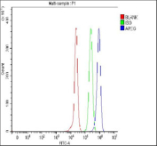 Flow cytometry testing of fixed rat PC-12 cells with Amphiregulin antibody at 1ug/million cells (blocked with goat sera); Red=cells alone, Green=isotype control, Blue= Amphiregulin antibody.