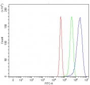 Flow cytometry testing of fixed and permeabilized human U-87 MG cells with DDR2 antibody at 1ug/million cells (blocked with goat sera); Red=cells alone, Green=isotype control, Blue= DDR2 antibody.
