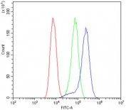 Flow cytometry testing of human U-2 OS cells with CYP19A1 antibody at 1ug/10^6 cells (blocked with goat sera); Red=cells alone, Green=isotype control, Blue= CYP19A1 antibody.