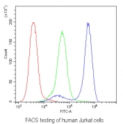 Flow cytometry testing of human Jurkat cells with CD229 antibody at 1ug/10^6 cells (blocked with goat sera); Red=cells alone, Green=isotype control, Blue= CD229 antibody.