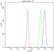 Flow cytometry testing of fixed and permeabilized human Jurkat cells with PKC beta antibody at 1ug/million cells (blocked with goat sera); Red=cells alone, Green=isotype control, Blue= PKC beta antibody.