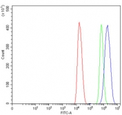 Flow cytometry testing of mouse HEPA1-6 cells with METTL3 antibody at 1ug/million cells (blocked with goat sera); Red=cells alone, Green=isotype control, Blue= METTL3 antibody.