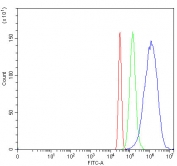 Flow cytometry testing of fixed and permeabilized human HepG2 cells with AKR1D1 antibody at 1ug/10^6 cells (blocked with goat sera); Red=cells alone, Green=isotype control, Blue= AKR1D1 antibody.
