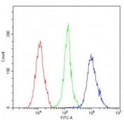 Flow cytometry testing of human ThP-1 cells with APOBEC3G antibody at 1ug/million cells (blocked with goat sera); Red=cells alone, Green=isotype control, Blue= APOBEC3G antibody.