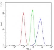 Flow cytometry testing of human A549 cells with ATP Citrate Lyase antibody at 1ug/million cells (blocked with goat sera); Red=cells alone, Green=isotype control, Blue= ATP Citrate Lyase antibody.
