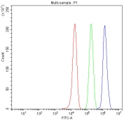 Flow cytometry testing of fixed and permeabilized human PC-3 cells with Histone H2AX antibody at 1ug/million cells (blocked with goat sera); Red=cells alone, Green=isotype control, Blue= Histone H2AX antibody.