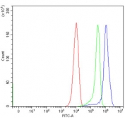 Flow cytometry testing of mouse RAW264.7 cells with HDAC3 antibody at 1ug/million cells (blocked with goat sera); Red=cells alone, Green=isotype control, Blue= HDAC3 antibody.