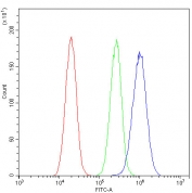 Flow cytometry testing of fixed and permeabilized human A549 cells with ROBO1 antibody at 1ug/million cells (blocked with goat sera); Red=cells alone, Green=isotype control, Blue= ROBO1 antibody.