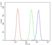 Flow cytometry testing of human A549 cells with Cofilin 2 antibody at 1ug/million cells (blocked with goat sera); Red=cells alone, Green=isotype control, Blue= Cofilin 2 antibody.