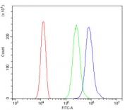 Flow cytometry testing of human SiHa cells with Cofilin 2 antibody at 1ug/million cells (blocked with goat sera); Red=cells alone, Green=isotype control, Blue= Cofilin 2 antibody.