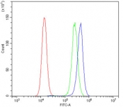 Flow cytometry testing of human PC-3 cells with MMP1 antibody at 1ug/million cells (blocked with goat sera); Red=cells alone, Green=isotype control, Blue= MMP1 antibody.