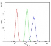 Flow cytometry testing of human A431 cells with Hsp60 antibody at 1ug/million cells (blocked with goat sera); Red=cells alone, Green=isotype control, Blue= Hsp60 antibody.