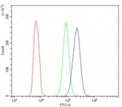 Flow cytometry testing of human HL60 cells with ALDH1A1 antibody at 1ug/million cells (blocked with goat sera); Red=cells alone, Green=isotype control, Blue= ALDH1A1 antibody.