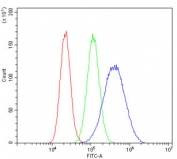 Flow cytometry testing of human U-87 MG cells with COMT antibody at 1ug/million cells (blocked with goat sera); Red=cells alone, Green=isotype control, Blue= COMT antibody.