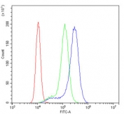 Flow cytometry testing of human K562 cells with COMT antibody at 1ug/million cells (blocked with goat sera); Red=cells alone, Green=isotype control, Blue= COMT antibody.