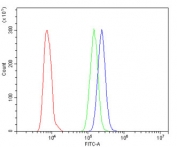 Flow cytometry testing of human HL60 cells with Nucleolin antibody at 1ug/million cells (blocked with goat sera); Red=cells alone, Green=isotype control, Blue= Nucleolin antibody.