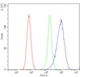 Flow cytometry testing of human 293T cells with RP2 antibody at 1ug/million cells (blocked with goat sera); Red=cells alone, Green=isotype control, Blue= RP2 antibody.