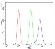 Flow cytometry testing of fixed and permeabilized human ThP-1 cells with SYK antibody at 1ug/million cells (blocked with goat sera); Red=cells alone, Green=isotype control, Blue= SYK antibody.