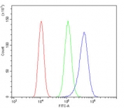 Flow cytometry testing of human ThP-1 cells with Thioredoxin 2 antibody at 1ug/million cells (blocked with goat sera); Red=cells alone, Green=isotype control, Blue= Thioredoxin 2 antibody.
