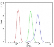 Flow cytometry testing of human SiHa cells with Aldolase B antibody at 1ug/million cells (blocked with goat sera); Red=cells alone, Green=isotype control, Blue= Aldolase B antibody.