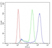Flow cytometry testing of fixed and permeabilized human A431 cells with Beta Glucuronidase antibody at 1ug/million cells (blocked with goat sera); Red=cells alone, Green=isotype control, Blue= Beta Glucuronidase antibody.