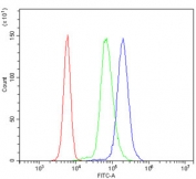 Flow cytometry testing of human U937 cells with NCAM1 antibody at 1ug/million cells (blocked with goat sera); Red=cells alone, Green=isotype control, Blue= NCAM1 antibody.