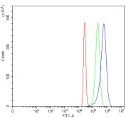 Flow cytometry testing of human 293T cells with PCNA antibody at 1ug/million cells (blocked with goat sera); Red=cells alone, Green=isotype control, Blue= PCNA antibody.
