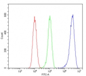 Flow cytometry testing of human 293T cells with PRMT5 antibody at 1ug/million cells (blocked with goat sera); Red=cells alone, Green=isotype control, Blue= PRMT5 antibody.