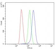 Flow cytometry testing of human Jurkat cells with Alpha 1 Catenin antibody at 1ug/million cells (blocked with goat sera); Red=cells alone, Green=isotype control, Blue= Alpha 1 Catenin antibody.
