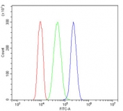 Flow cytometry testing of human HL-60 cells with TXN2 antibody at 1ug/million cells (blocked with goat sera); Red=cells alone, Green=isotype control, Blue= TXN2 antibody.