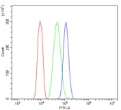 Flow cytometry testing of human HL-60 cells with TXN2 antibody at 1ug/million cells (blocked with goat sera); Red=cells alone, Green=isotype control, Blue= TXN2 antibody.