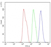 Flow cytometry testing of human HepG2 cells with AKR1D1 antibody at 1ug/million cells (blocked with goat sera); Red=cells alone, Green=isotype control, Blue= AKR1D1 antibody.