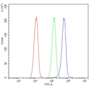 Flow cytometry testing of human A549 cells with Neurofibromin antibody at 1ug/million cells (blocked with goat sera); Red=cells alone, Green=isotype control, Blue= Neurofibromin antibody.