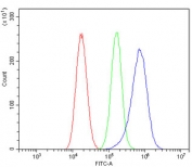 Flow cytometry testing of human A549 cells with HSPA8 antibody at 1ug/million cells (blocked with goat sera); Red=cells alone, Green=isotype control, Blue= HSPA8 antibody.